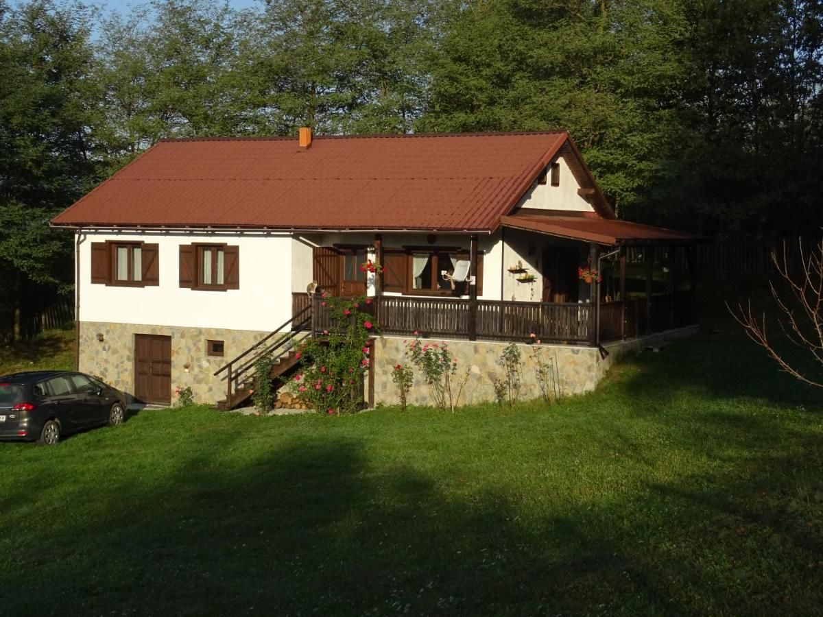 Дома для отпуска Casa La Mandita Băiculeşti-4